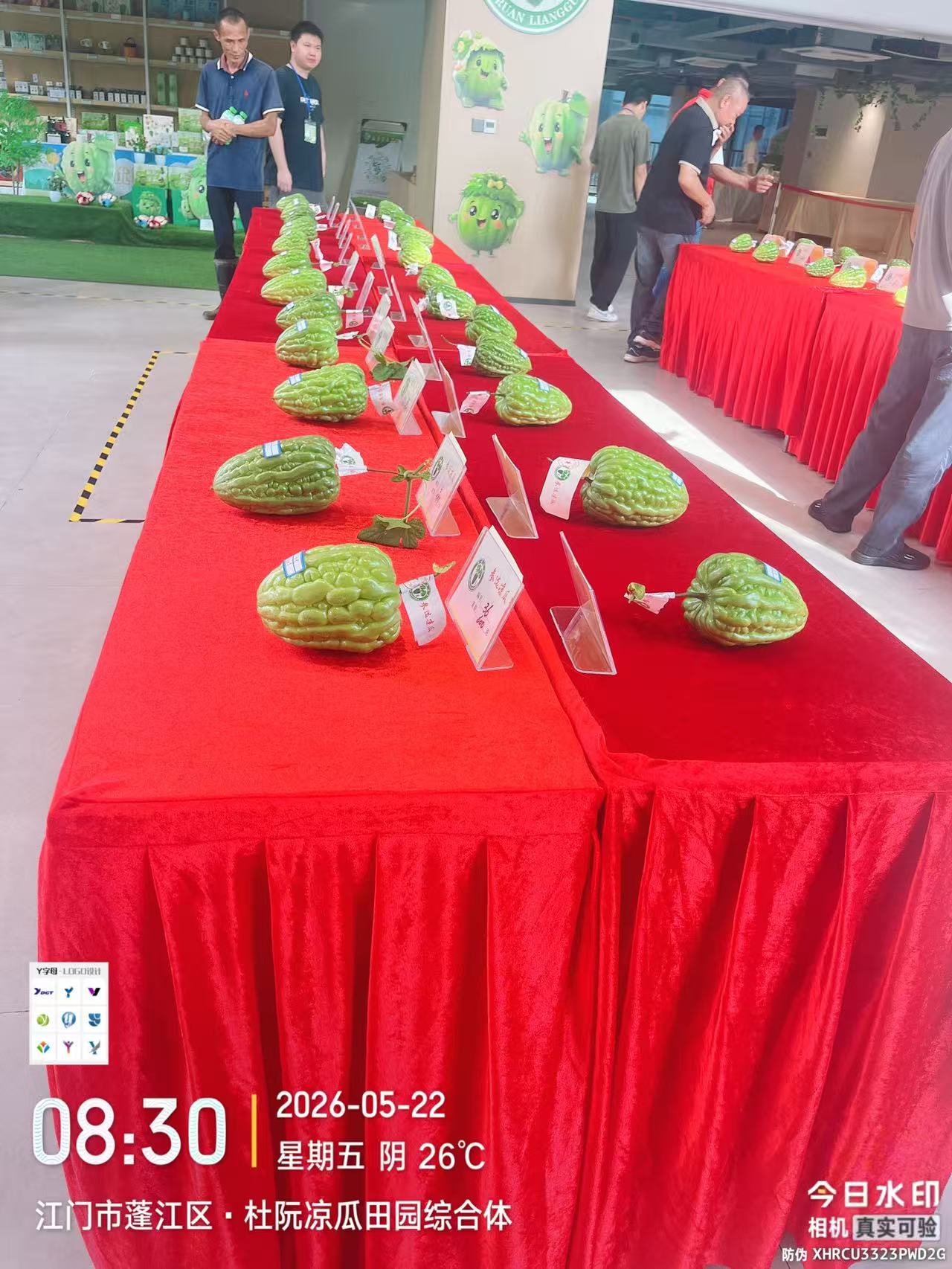 微信图片_20260522121223_1724_24(1).jpg